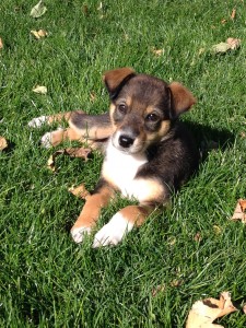 Lila4