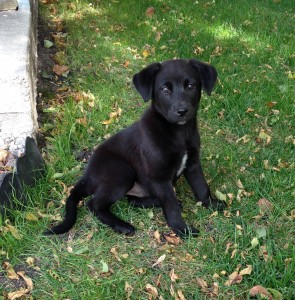 Lilly